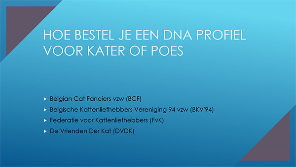 hoe bestel ik een DNA profiel van poes of kater