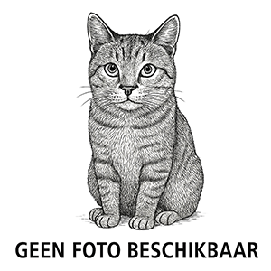 Bohemian Rex