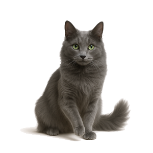 Nebelung